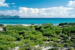 Benvinguts Hotel Port de Alcudia  Exterior foto
